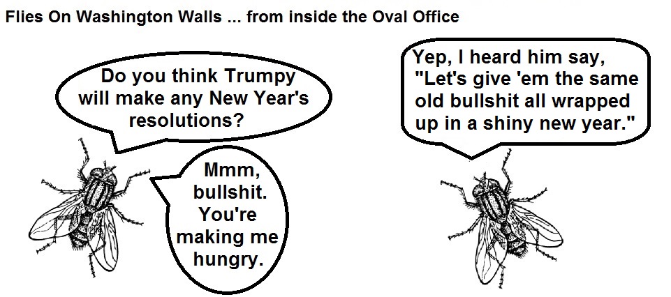 FOWW #67 New Year Resolutions