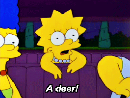 Lisa deer