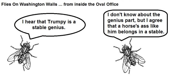 FOWW #69 Stable Genius