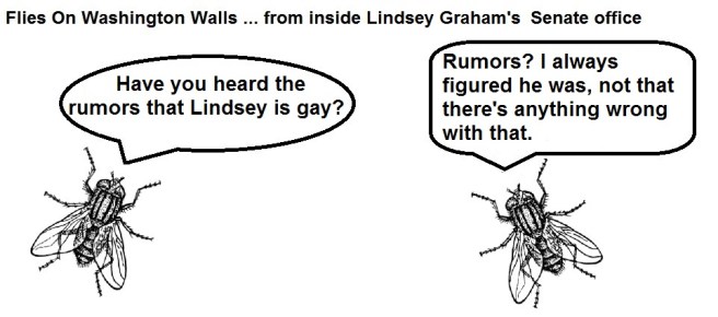 FOWW #71 Lindsey Graham Gay