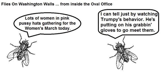 FOWW #78 Women's March