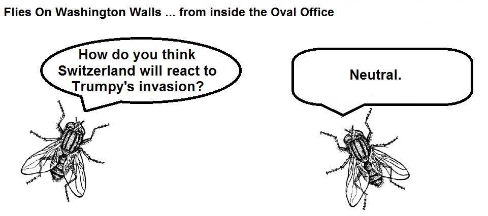 FOWW #80 Switzerland