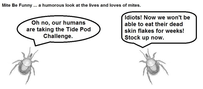 Mite Be Funny #50 Tide Pod