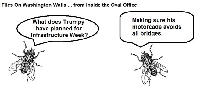 FOWW #87 Infrasturcture Week