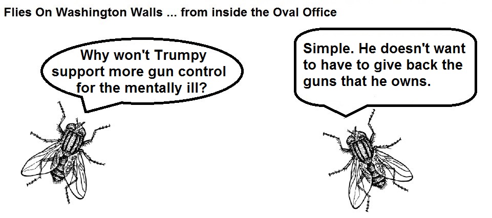 FOWW #90 Guns for Mentally Ill