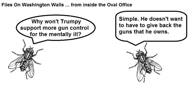 FOWW #90 Guns for Mentally Ill