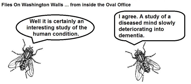 FOWW #93 Trump Flagd