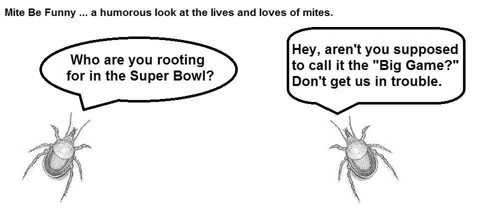 Mite Be Funny #52 Super Bowl a