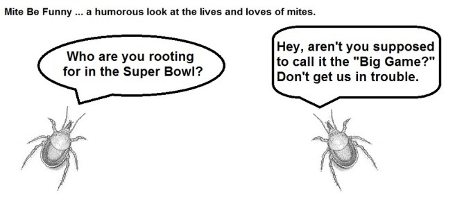 Mite Be Funny #52 Super Bowl a