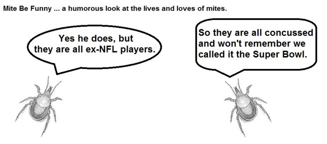 Mite Be Funny #52 Super Bowl c