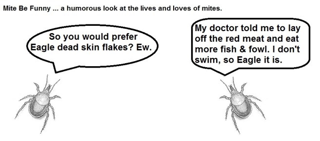 Mite Be Funny #52 Super Bowl e