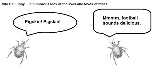 Mite Be Funny #52 Super Bowl g