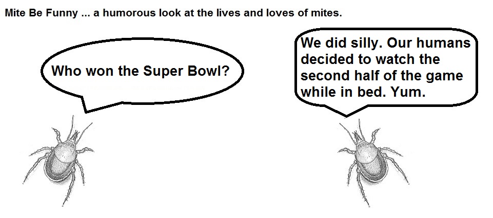 Mite Be Funny Blank #53 Super Bowl Win