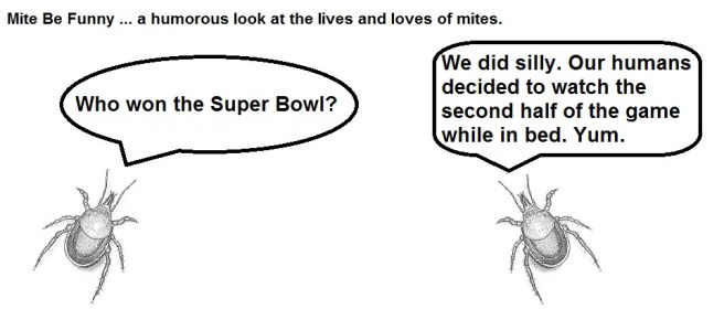 Mite Be Funny Blank #53 Super Bowl Win