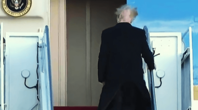 Trump bald