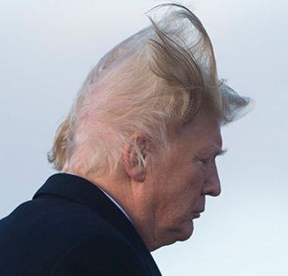 trump hair stairs