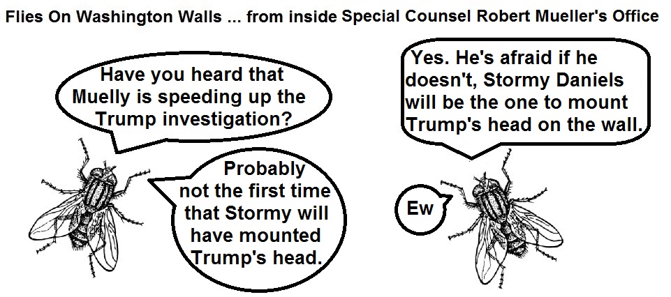 FOWW #96 Mueller Stormy