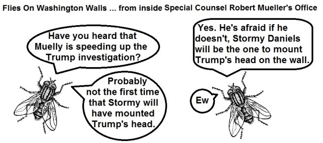 FOWW #96 Mueller Stormy