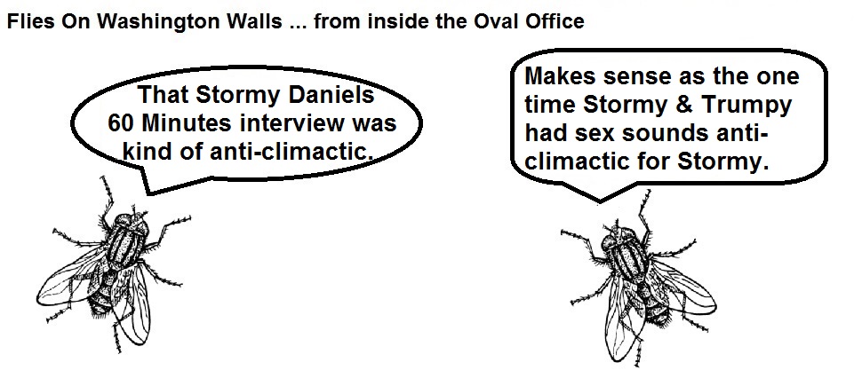 FOWW Blank #99 Stormy 60 Minutes