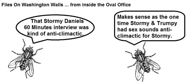 FOWW Blank #99 Stormy 60 Minutes