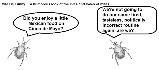 Mite Be Funny #66a Cinco de Mayo
