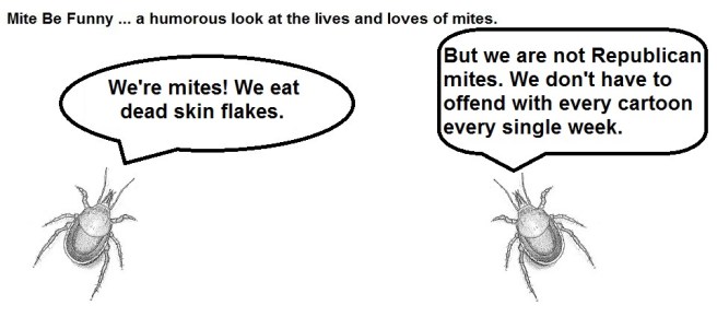 Mite Be Funny #66c Cinco de Mayo