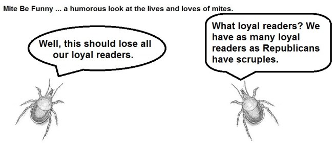 Mite Be Funny #66d Cinco de Mayo