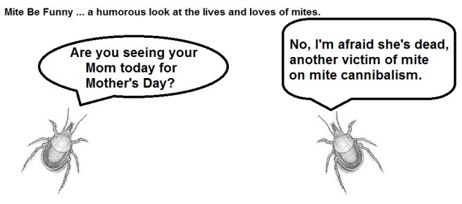 Mite Be Funny #67a Mother's Day