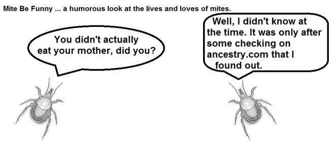 Mite Be Funny #67c Mother's Day