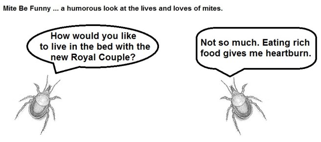 Mite Be Funny #68 Royal Couple