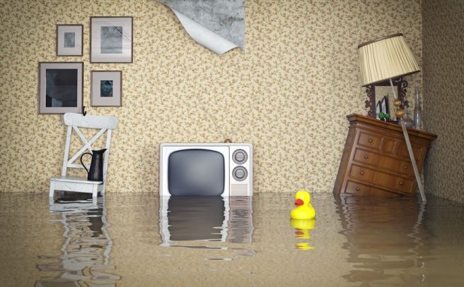 flooded room.jpg