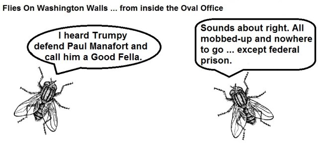 FOWW #112 Good Fella