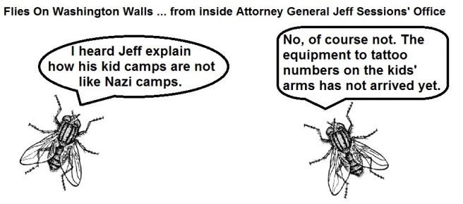 FOWW #113 Sessions Camps