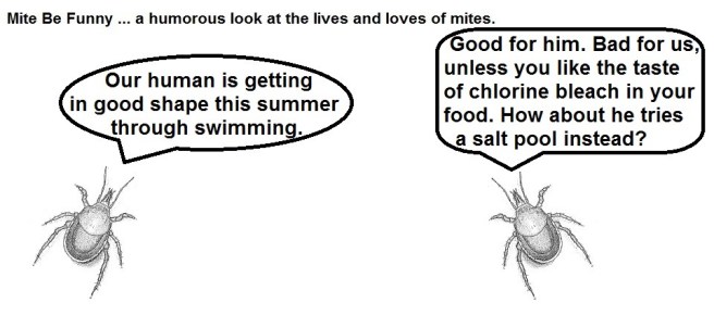 Mite Be Funny #71a Swimming