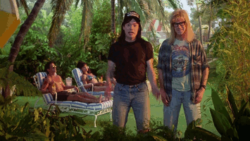 wayne's world dream sequence.gif