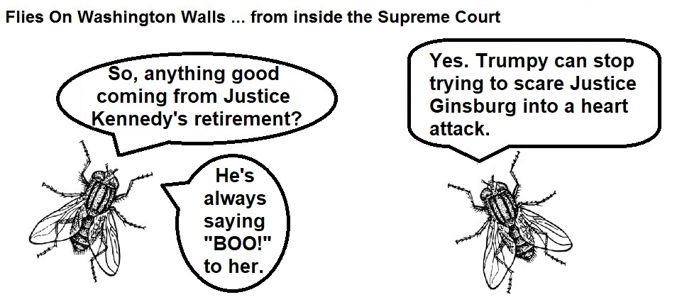 FOWW #115a Supreme Court
