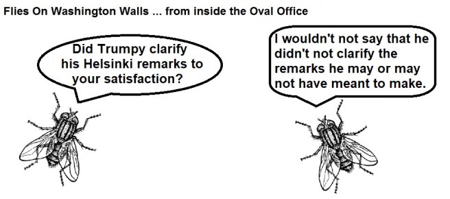 FOWW #117 Helsinki Comments