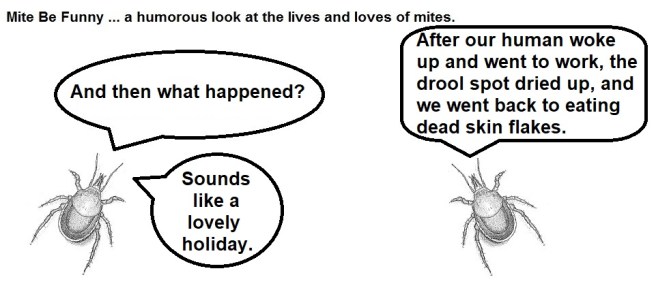 Mite Be Funny #76a Summer Holiday