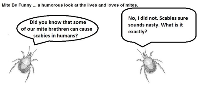 Mite Be Funny #77a Scabies