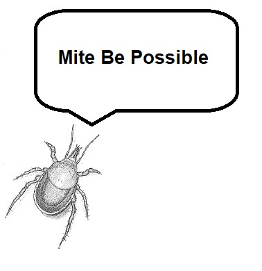 Mite Be Possible