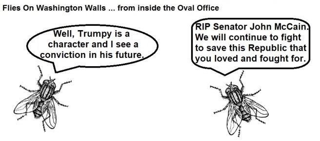 FOWW #122b John McCain