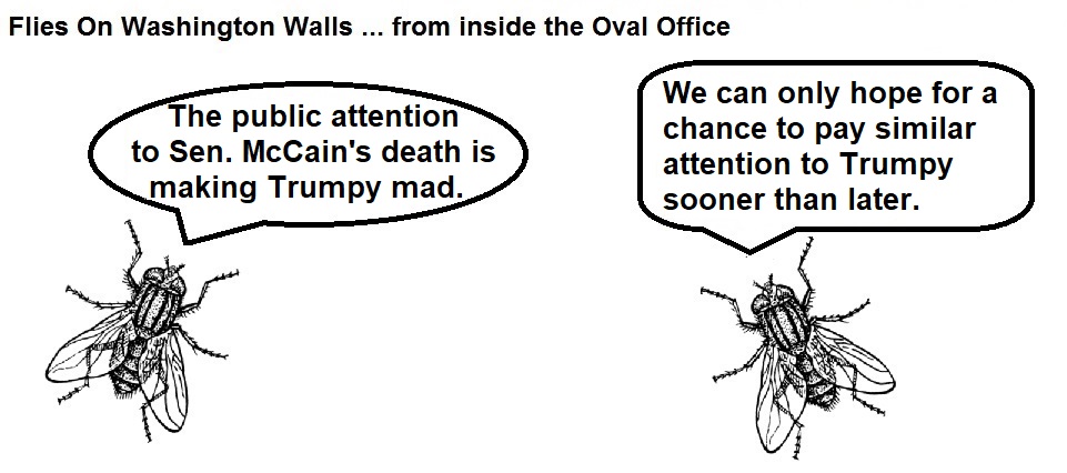 FOWW Blank #123 McCain Death