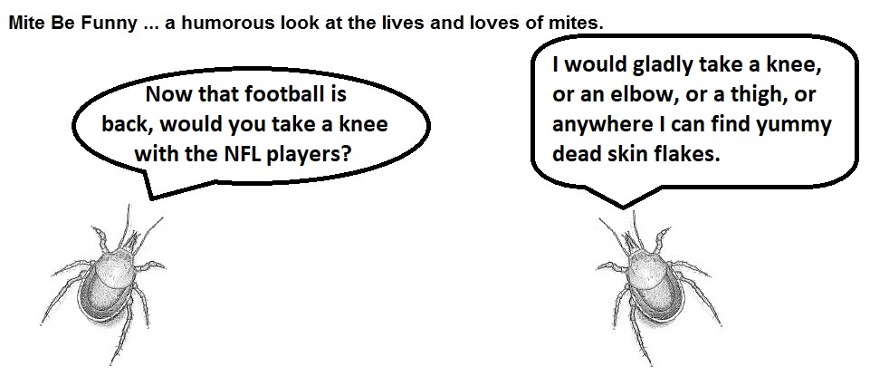 Mite Be Funny #79 NFL Take a Knee