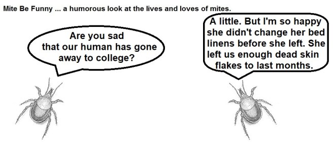 Mite Be Funny #81 College