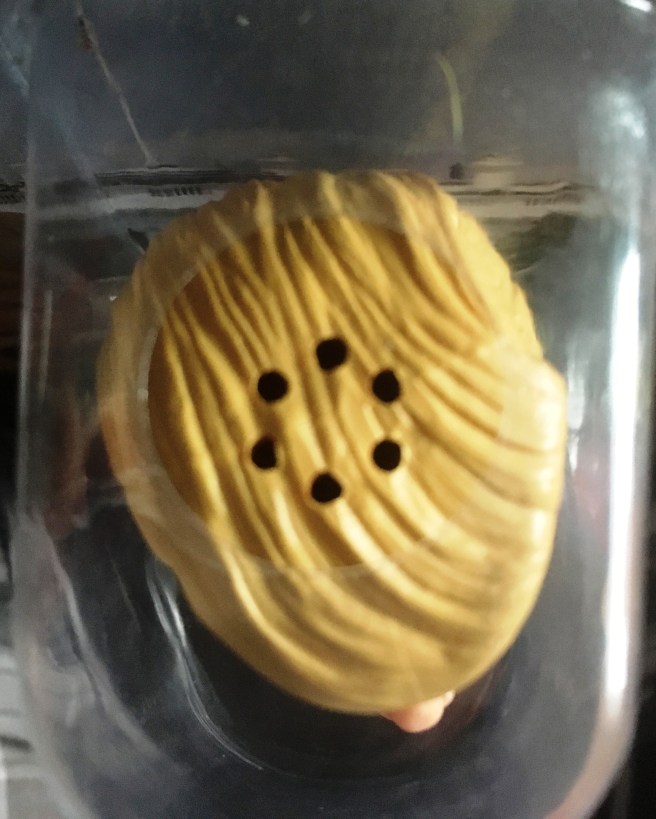 Trump Pen Head Holes