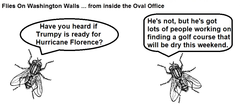 FOWW #124 Hurricane Florence