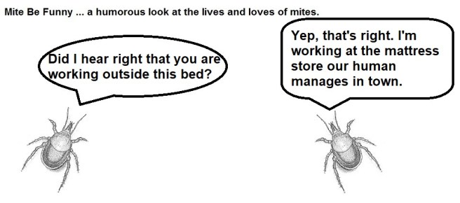 Mite Be Funny #82a Work