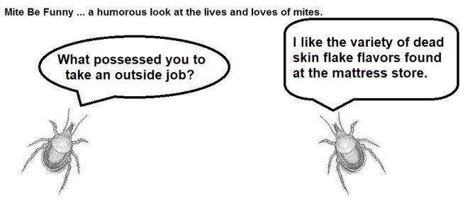 Mite Be Funny #82b Work