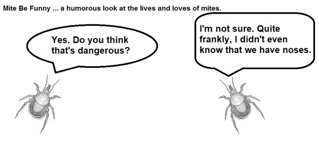 Mite Be Funny #86a Kids