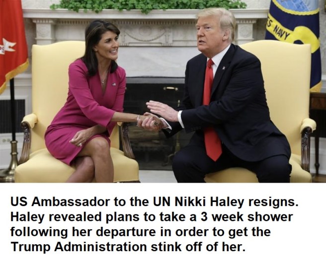 haley resigns